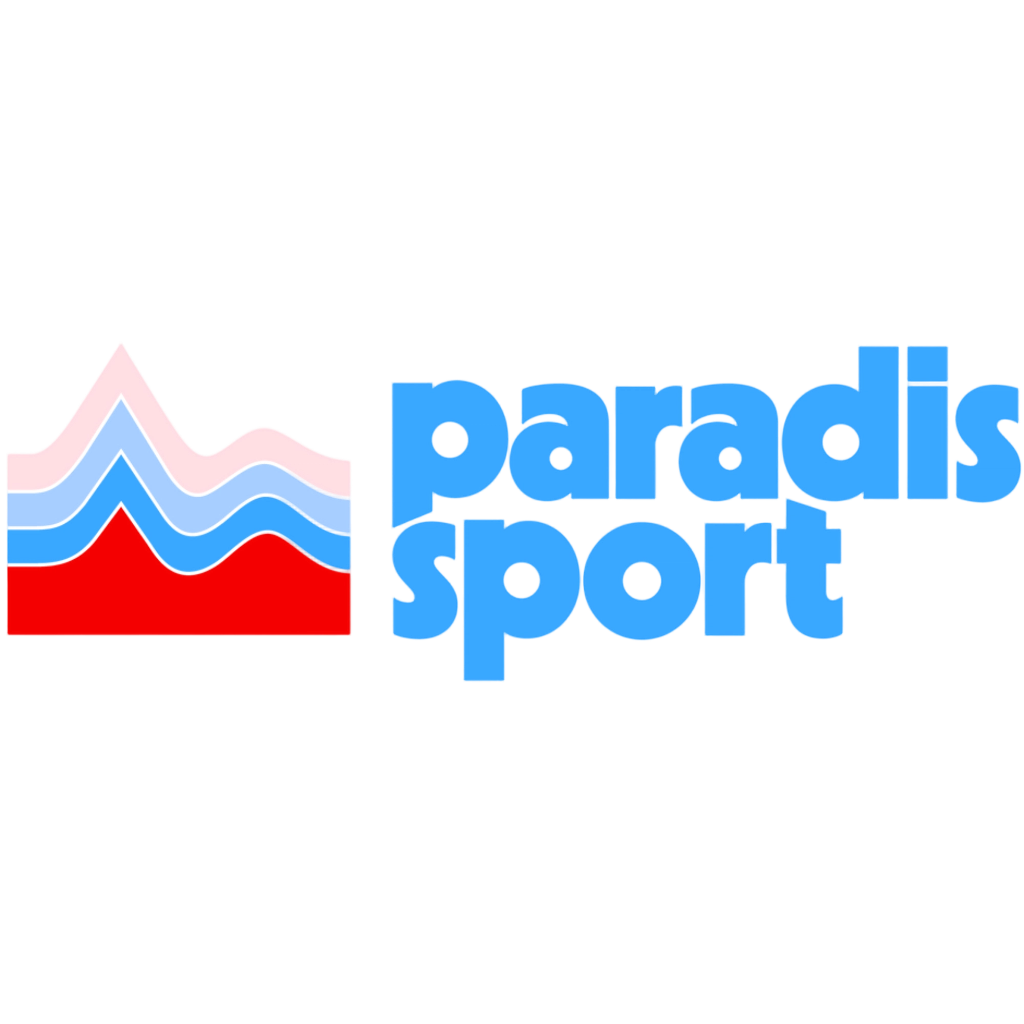 PARADIS SPORT LLC